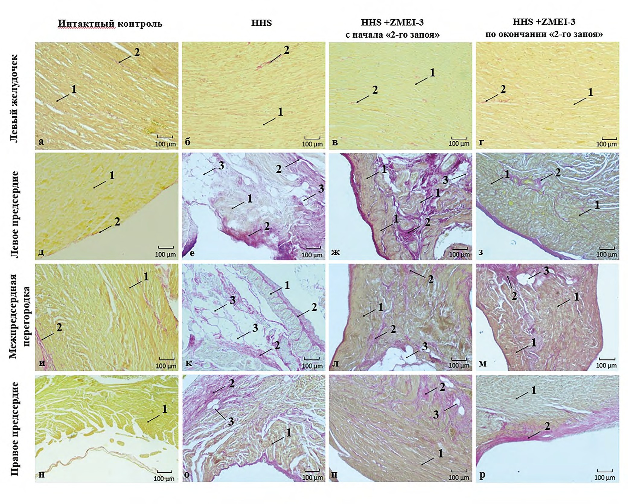 Изображение на обложке
