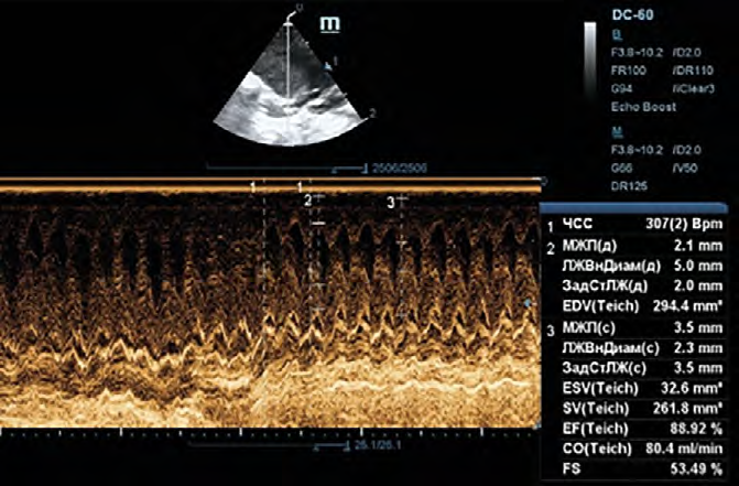 Изображение на обложке